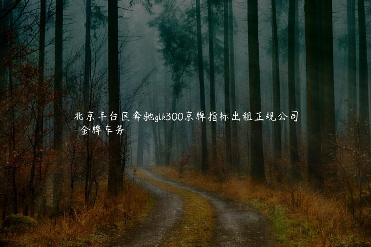 北京丰台区奔驰glk300京牌指标出租正规公司-新能源指标出租3年多少钱