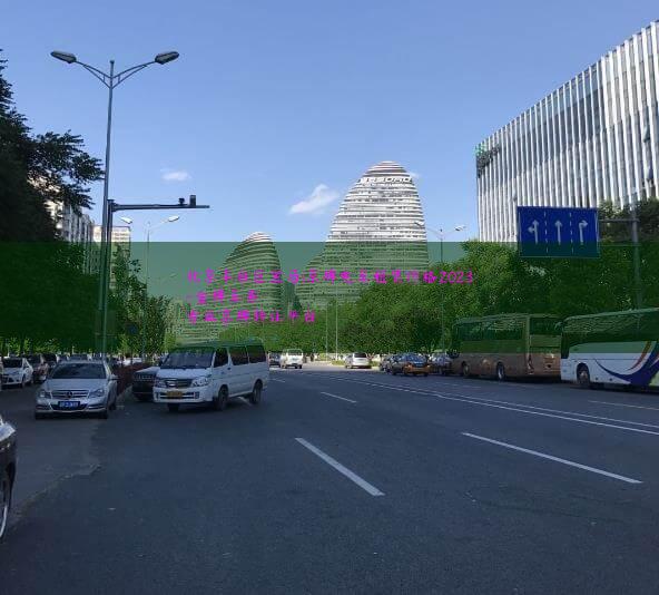 北京丰台区宝马i京牌电车租赁价格2023