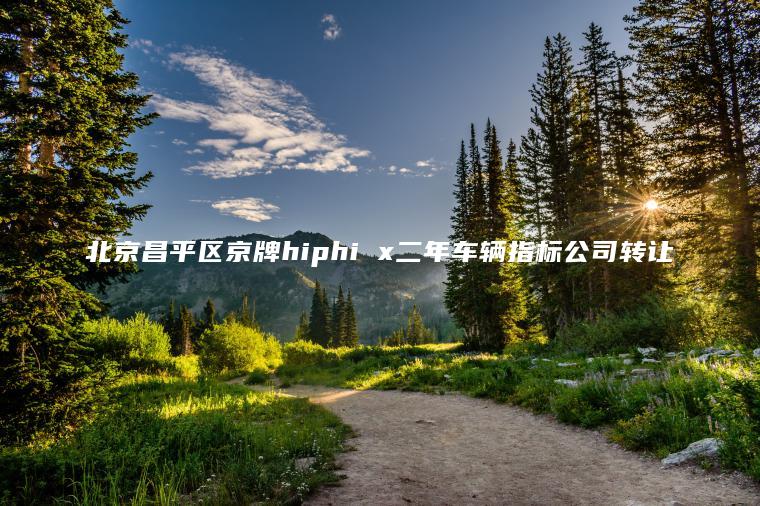 北京昌平区京牌hiphi x二年车辆指标公司转让