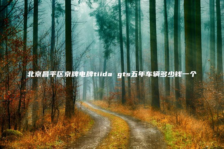 北京昌平区京牌电牌tiida gts五年车辆多少钱一个