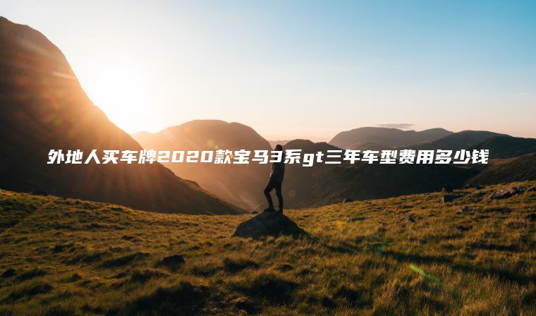 外地人买车牌2020款宝马3系gt三年车型费用多少钱