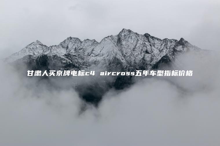 甘肃人买京牌电标c4 aircross五年车型指标价格