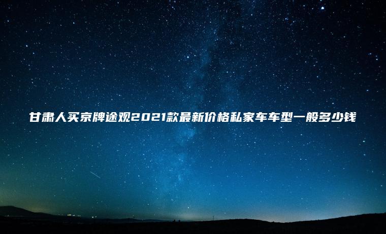 甘肃人买京牌途观2021款最新价格私家车车型一般多少钱