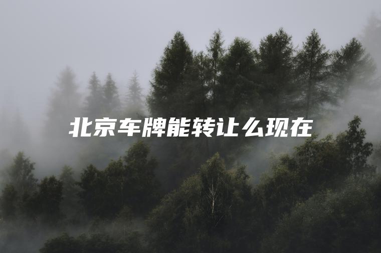 北京车牌能转让么现在