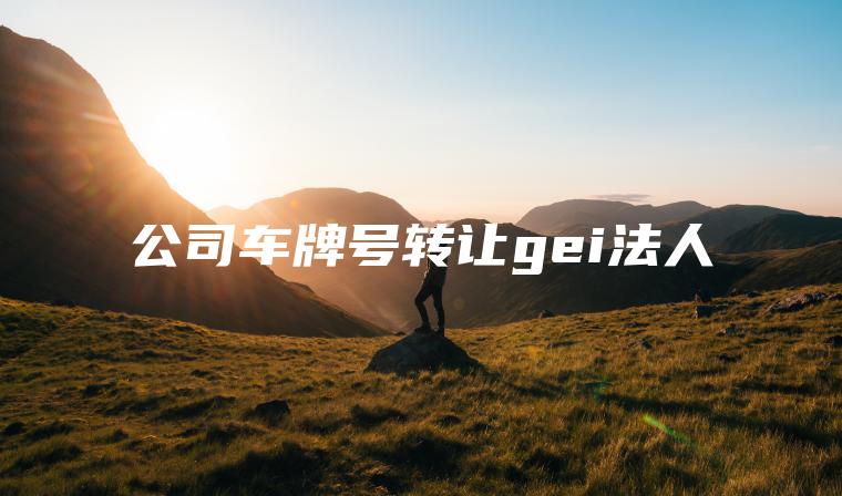 公司车牌号转让gei法人