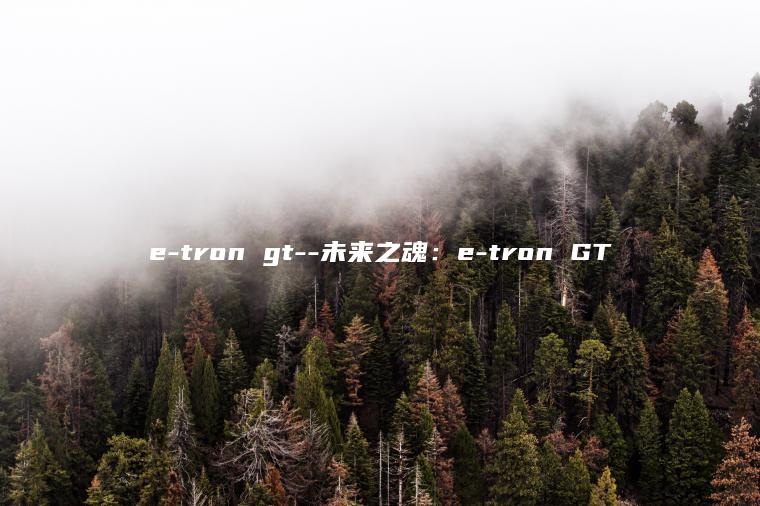 e-tron gt–未来之魂：e-tron GT