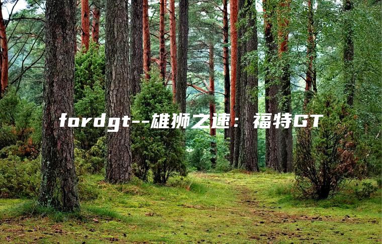 fordgt–雄狮之速：福特GT