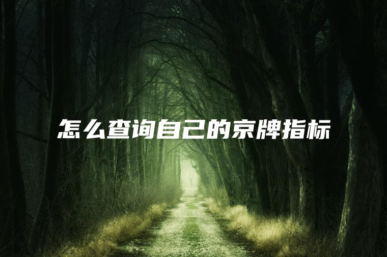 怎么查询自己的京牌指标