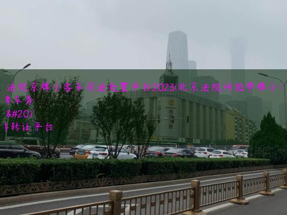 北京法院京牌小客车司法处置平台2023(北京法院网拍带牌小客车)