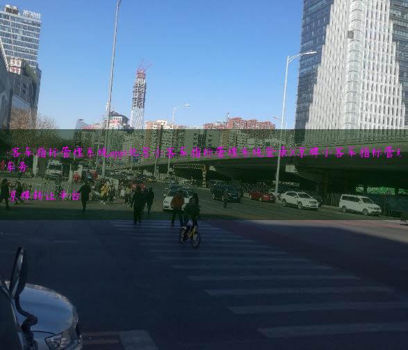 京牌小客车指标管理系统app(北京小客车指标管理系统登录)(京牌小客车指标管理系统)