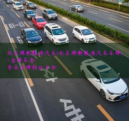 北京牌新能源汽车(北京牌新能源汽车车牌)