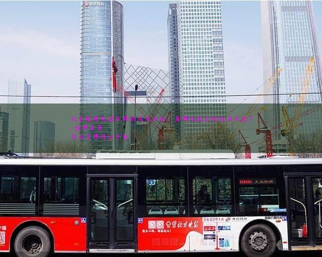 北京租用电动车牌的成本分析：有哪些隐含的经济风险？