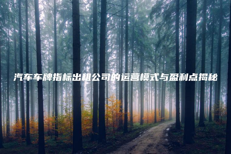 汽车车牌指标出租公司的运营模式与盈利点揭秘