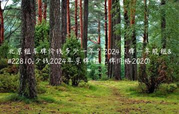 北京租车牌价钱多少一年？2024京牌一年能租多少钱2024年京牌(租京牌价格2020)