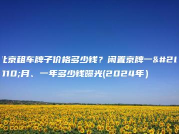 北京租车牌子价格多少钱？闲置京牌一个月、一年多少钱曝光(2024年）