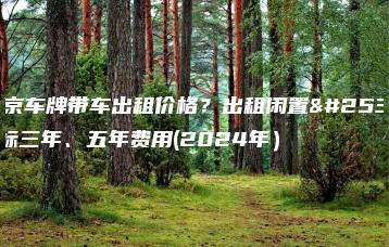 北京车牌带车出租价格？出租闲置指标三年、五年费用(2024年）