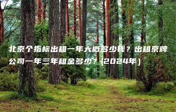 北京个指标出租一年大概多少钱？出租京牌公司一年三年租金多少？(2024年）