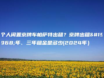 个人闲置京牌车帕萨特出租？京牌出租一年、三年租金是多少(2024年）