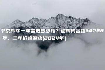 租个京牌车一年最低多少钱？油牌闲置指标一年、三年价格多少(2024年）