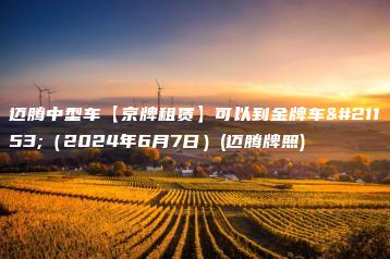 迈腾中型车【京牌租赁】可以到金牌车务（2024年6月7日）(迈腾牌照)