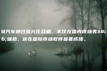 吉利汽车通过多元化战略，不仅在国内市场表现强劲，还在国际市场取得显著成绩。