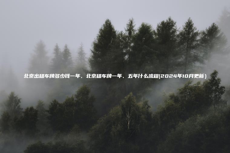 北京出租车牌多少钱一年、北京租车牌一年、五年什么流程(2024年10月更新）