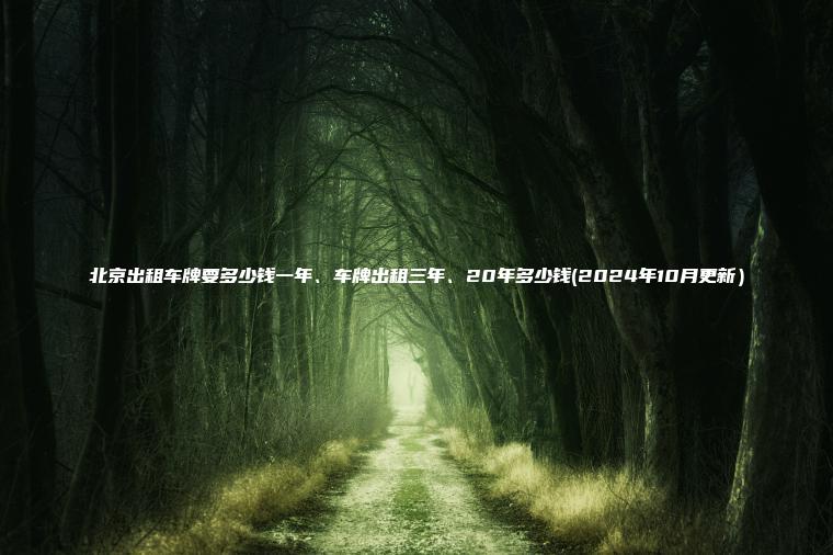 北京出租车牌要多少钱一年、车牌出租三年、20年多少钱(2024年10月更新）