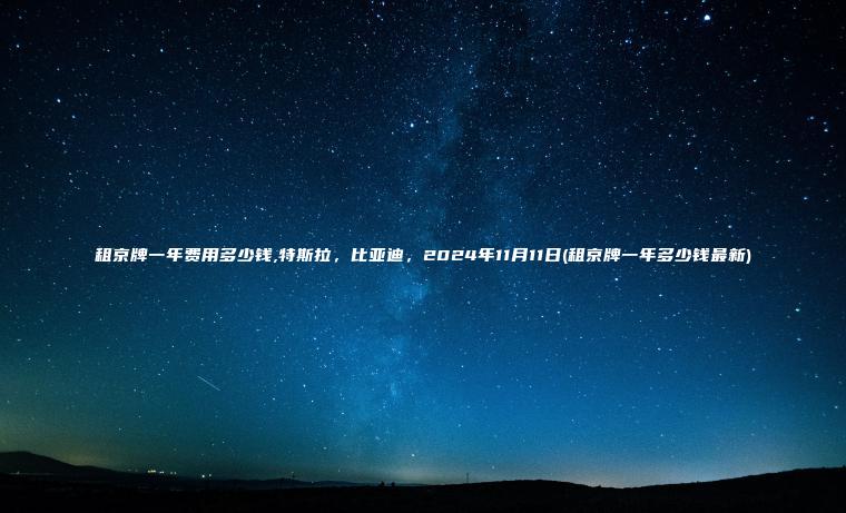 租京牌一年费用多少钱,特斯拉，比亚迪，2024年11月11日(租京牌一年多少钱最新)